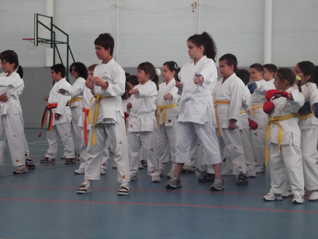 VIII Curso de Karate Victor Alvarado