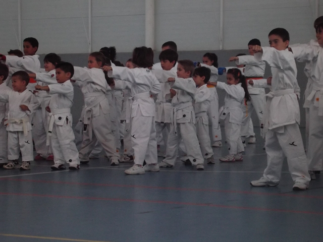VIII Curso de Karate Victor Alvarado