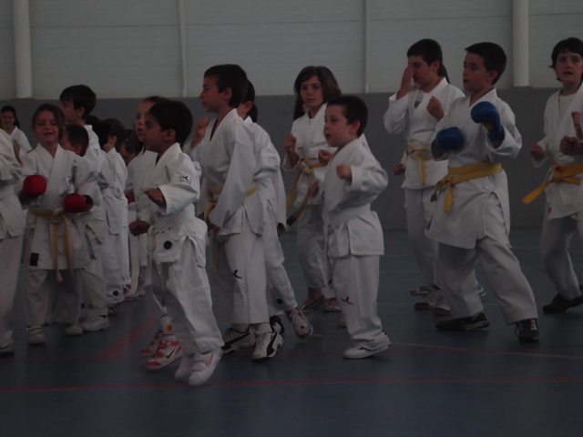 VIII Curso de Karate Victor Alvarado