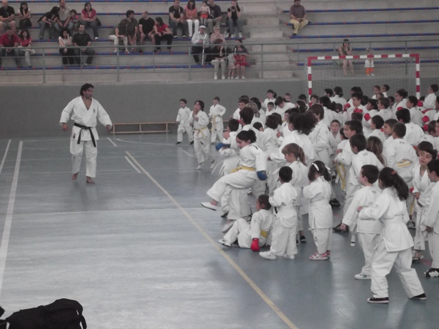 VIII Curso de Karate Victor Alvarado