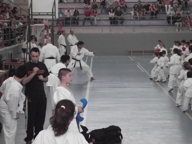 VIII Curso de Karate Victor Alvarado