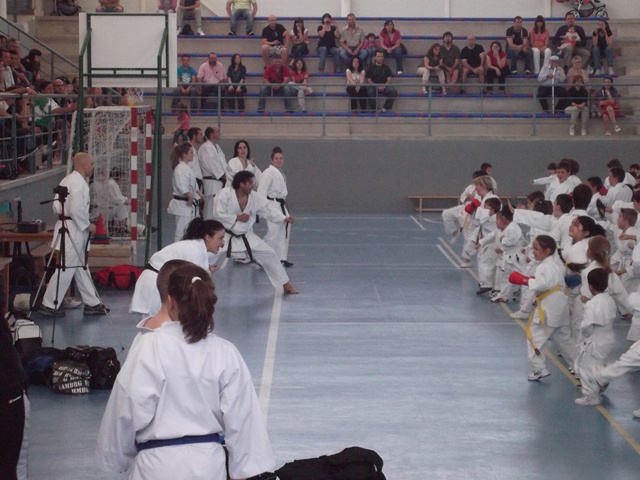VIII Curso de Karate Victor Alvarado