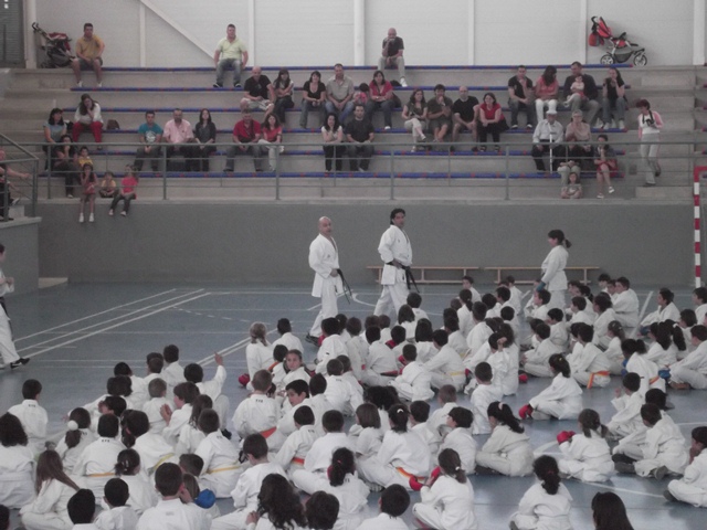 VIII Curso de Karate Victor Alvarado