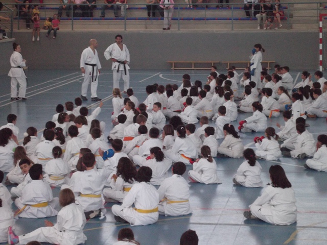 VIII Curso de Karate Victor Alvarado