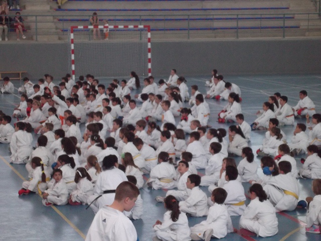 VIII Curso de Karate Victor Alvarado