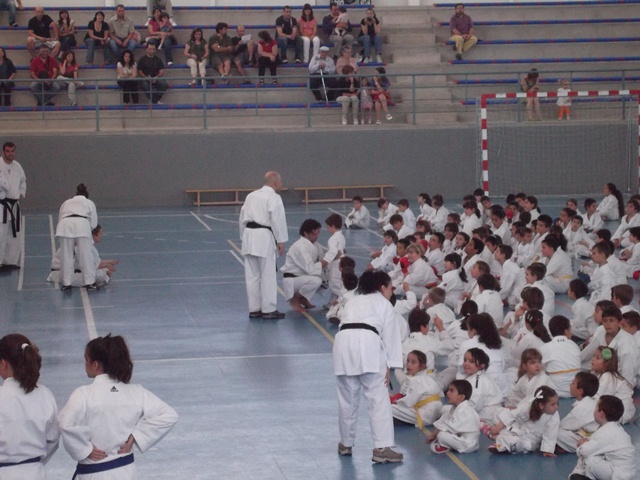 VIII Curso de Karate Victor Alvarado