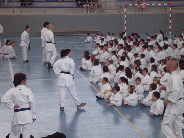 VIII Curso de Karate Victor Alvarado
