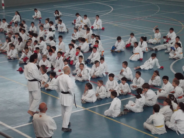 VIII Curso de Karate Victor Alvarado