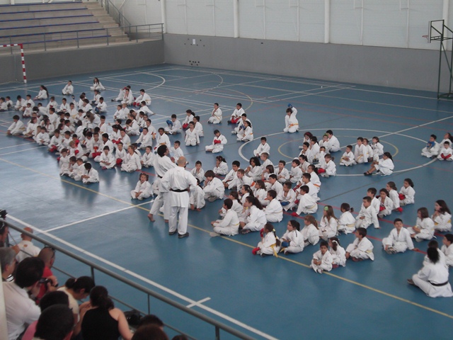 VIII Curso de Karate Victor Alvarado