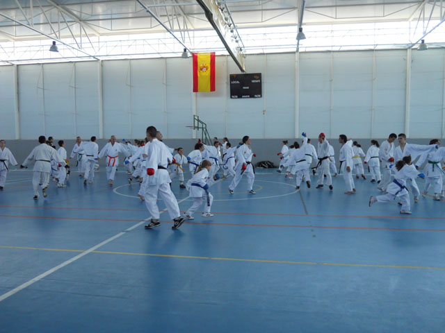 VIII Curso de Karate Victor Alvarado