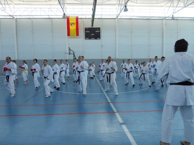 VIII Curso de Karate Victor Alvarado