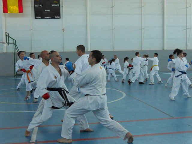 VIII Curso de Karate Victor Alvarado