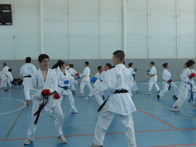 VIII Curso de Karate Victor Alvarado