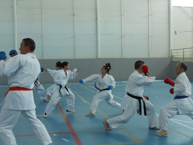 VIII Curso de Karate Victor Alvarado