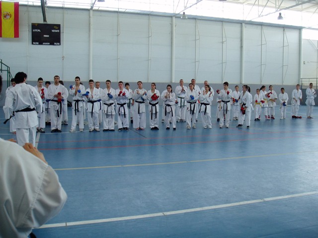 VIII Curso de Karate Victor Alvarado