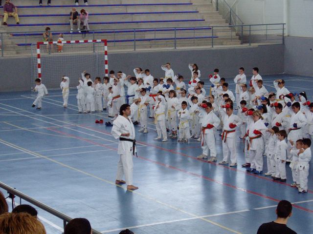 VIII Curso de Karate Victor Alvarado