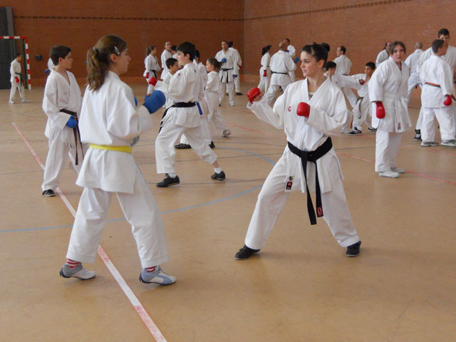 VII Curso de Karate Villalbilla Ángel Ramiro