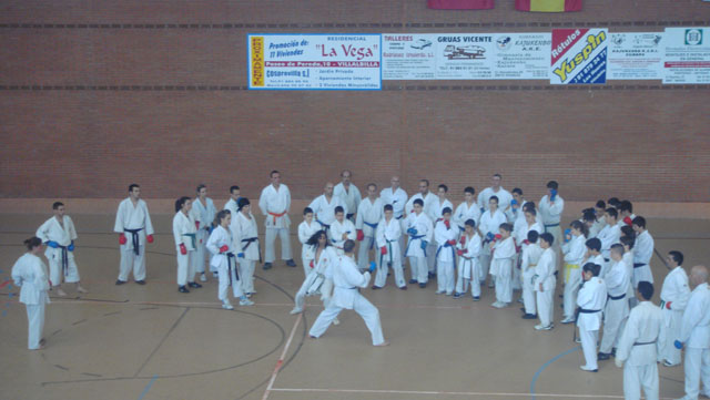 VII Curso de Karate Villalbilla Ángel Ramiro