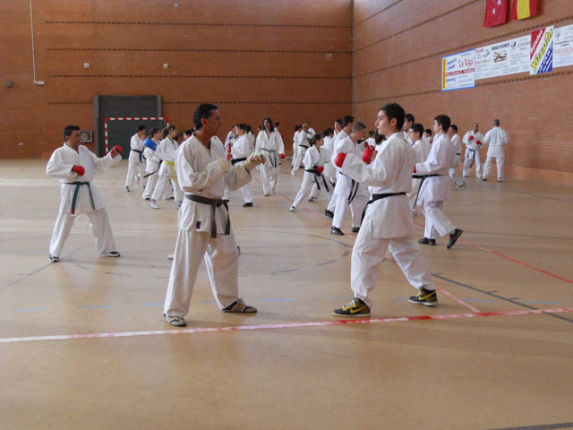 VII Curso de Karate Villalbilla Ángel Ramiro
