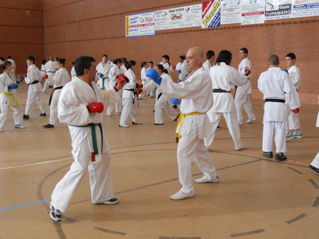 VII Curso de Karate Villalbilla Ángel Ramiro