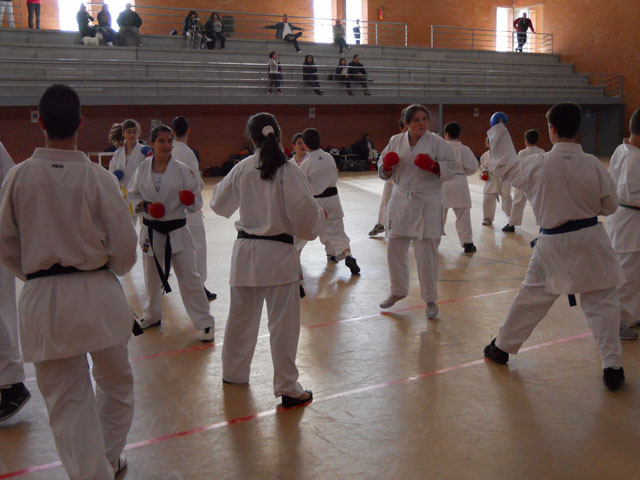 VII Curso de Karate Villalbilla Ángel Ramiro