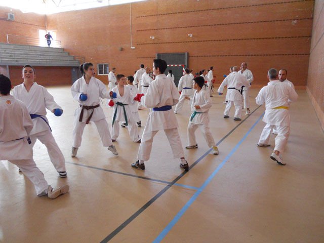 VII Curso de Karate Villalbilla Ángel Ramiro