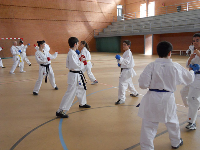VII Curso de Karate Villalbilla Ángel Ramiro