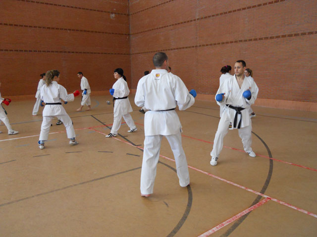 VII Curso de Karate Villalbilla Ángel Ramiro