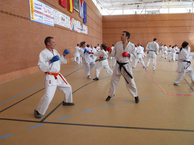 VII Curso de Karate Villalbilla Ángel Ramiro