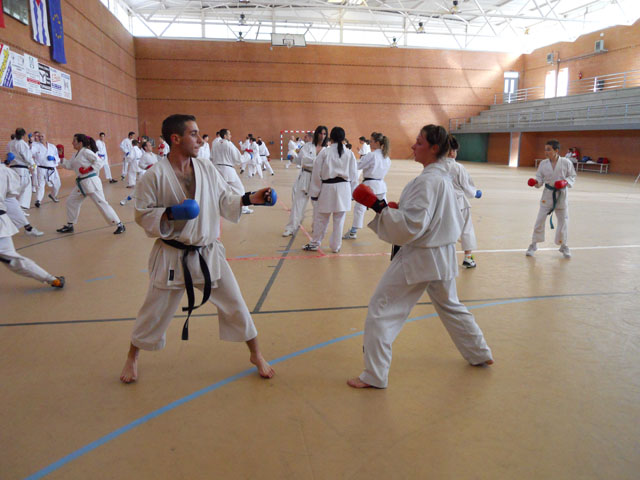 VII Curso de Karate Villalbilla Ángel Ramiro