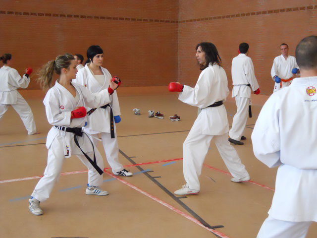 VII Curso de Karate Villalbilla Ángel Ramiro