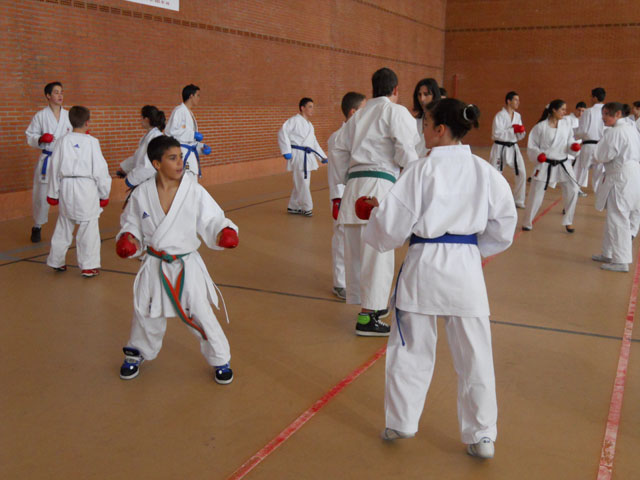 VII Curso de Karate Villalbilla Ángel Ramiro