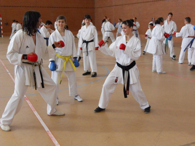 VII Curso de Karate Villalbilla Ángel Ramiro