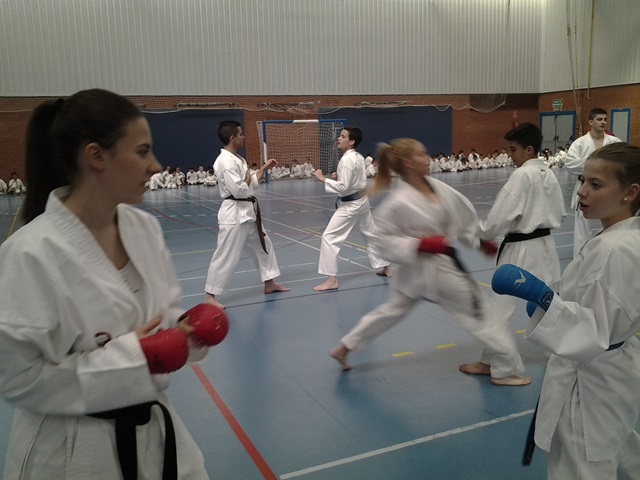 Curso Egea