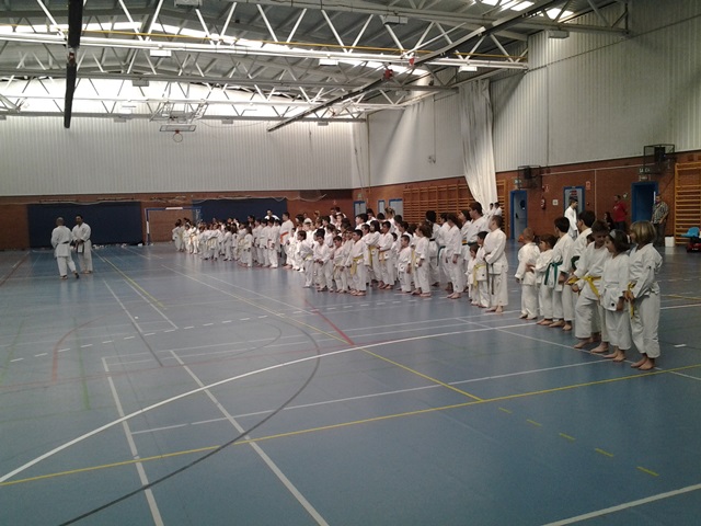 Curso Egea