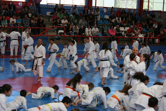 X Curso Técnico de Kárate Azuqueca de Henares Evaristo Criado