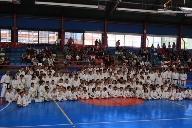 X Curso Técnico de Kárate Azuqueca de Henares Evaristo Criado