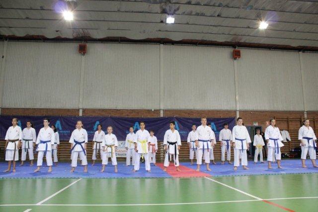 I Karate Para Todos Alcalá II