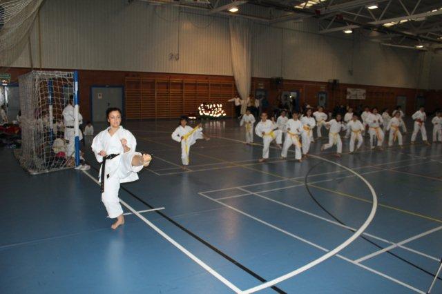 I Karate Para Todos Alcalá II