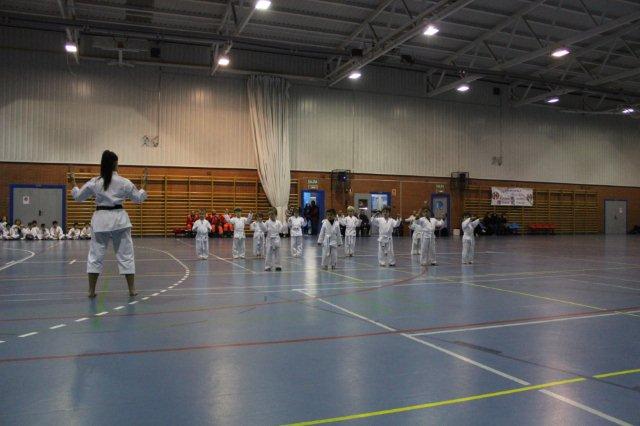 I Karate Para Todos Azuqueca I