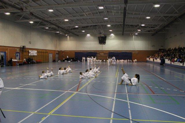 I Karate Para Todos Azuqueca I