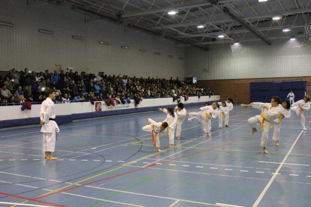 I Karate Para Todos Azuqueca I