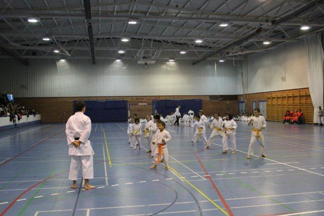 I Karate Para Todos Azuqueca I