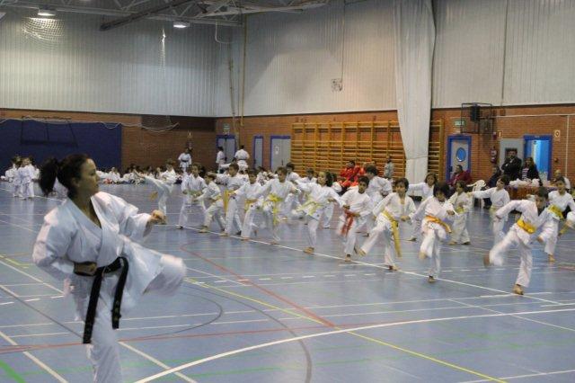 I Karate Para Todos Azuqueca I