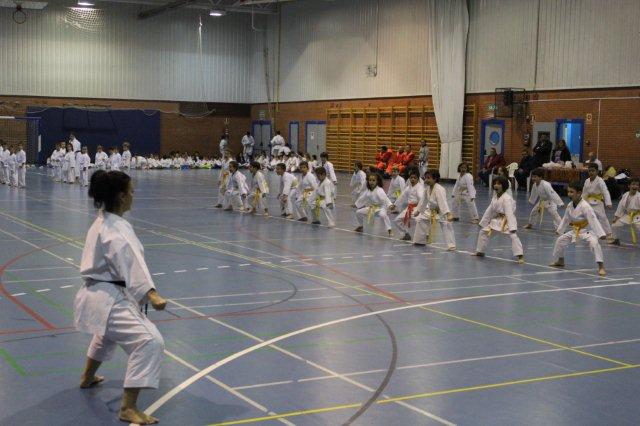 I Karate Para Todos Azuqueca I