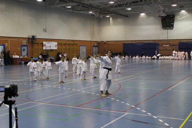 I Karate Para Todos Azuqueca I