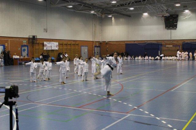 I Karate Para Todos Azuqueca II