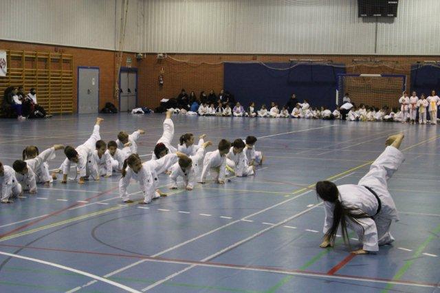 I Karate Para Todos Azuqueca II