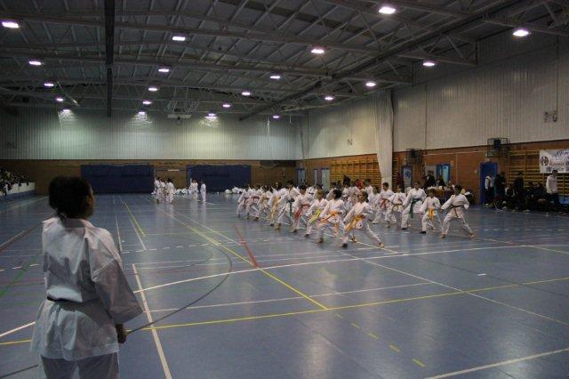 I Karate Para Todos Azuqueca II