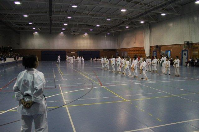 I Karate Para Todos Azuqueca II